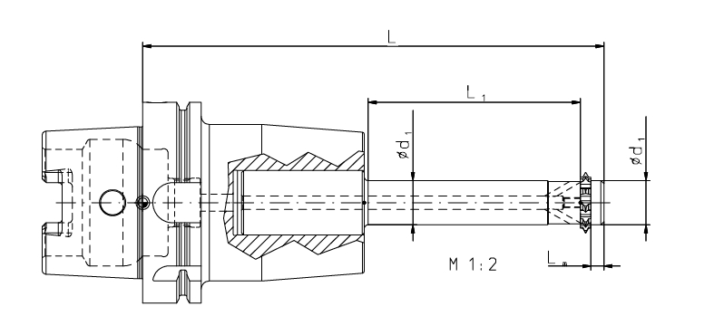 Zirkular-Fräskörper STC  19 d h6 HSK100A DIN69893  L1=146,9