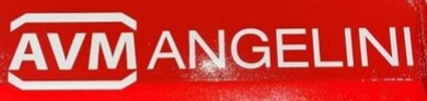 AVM Angelini