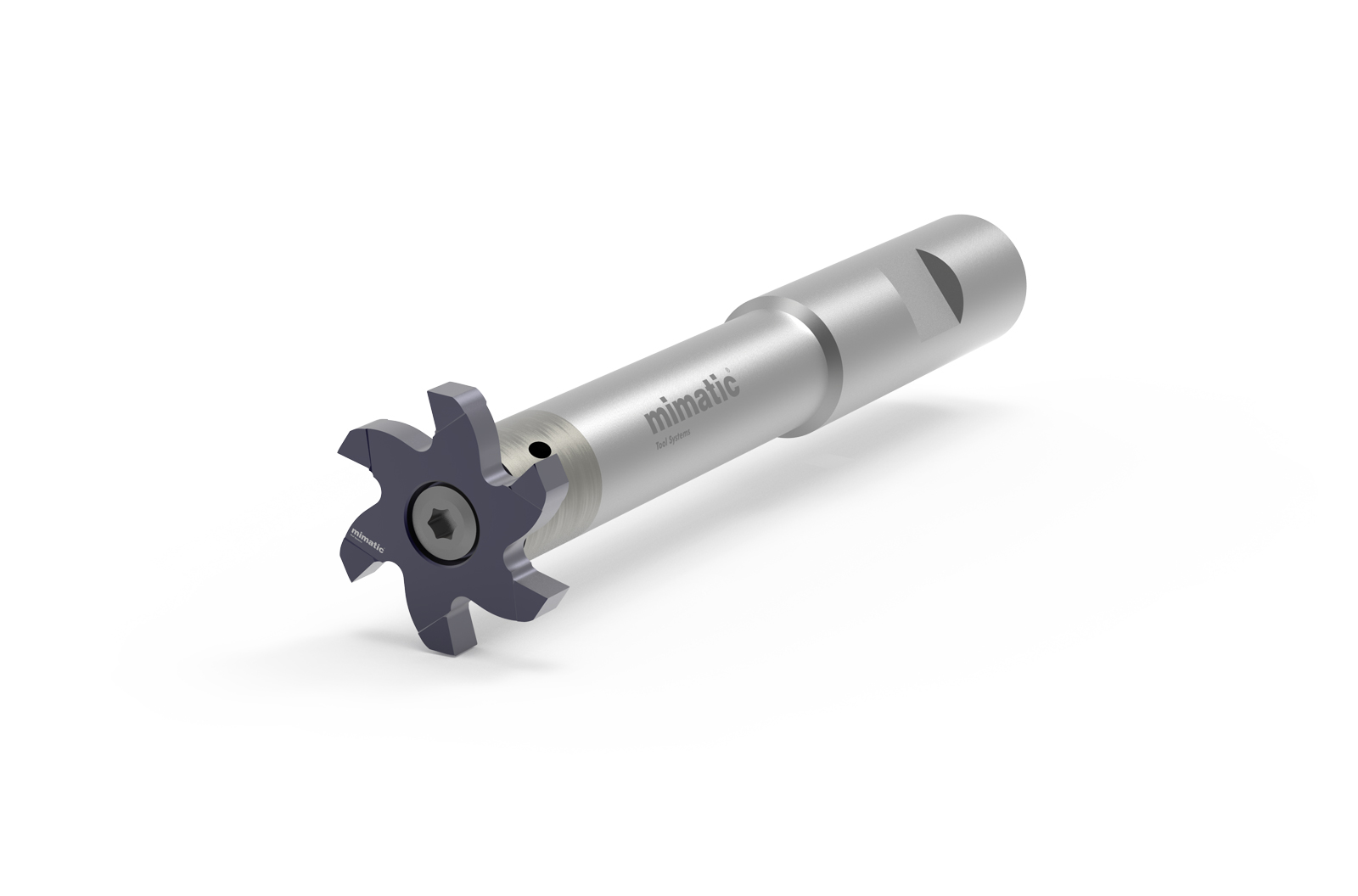 Zirkular-Fräskörper PolyMILL P16 d h6 10  L1=11