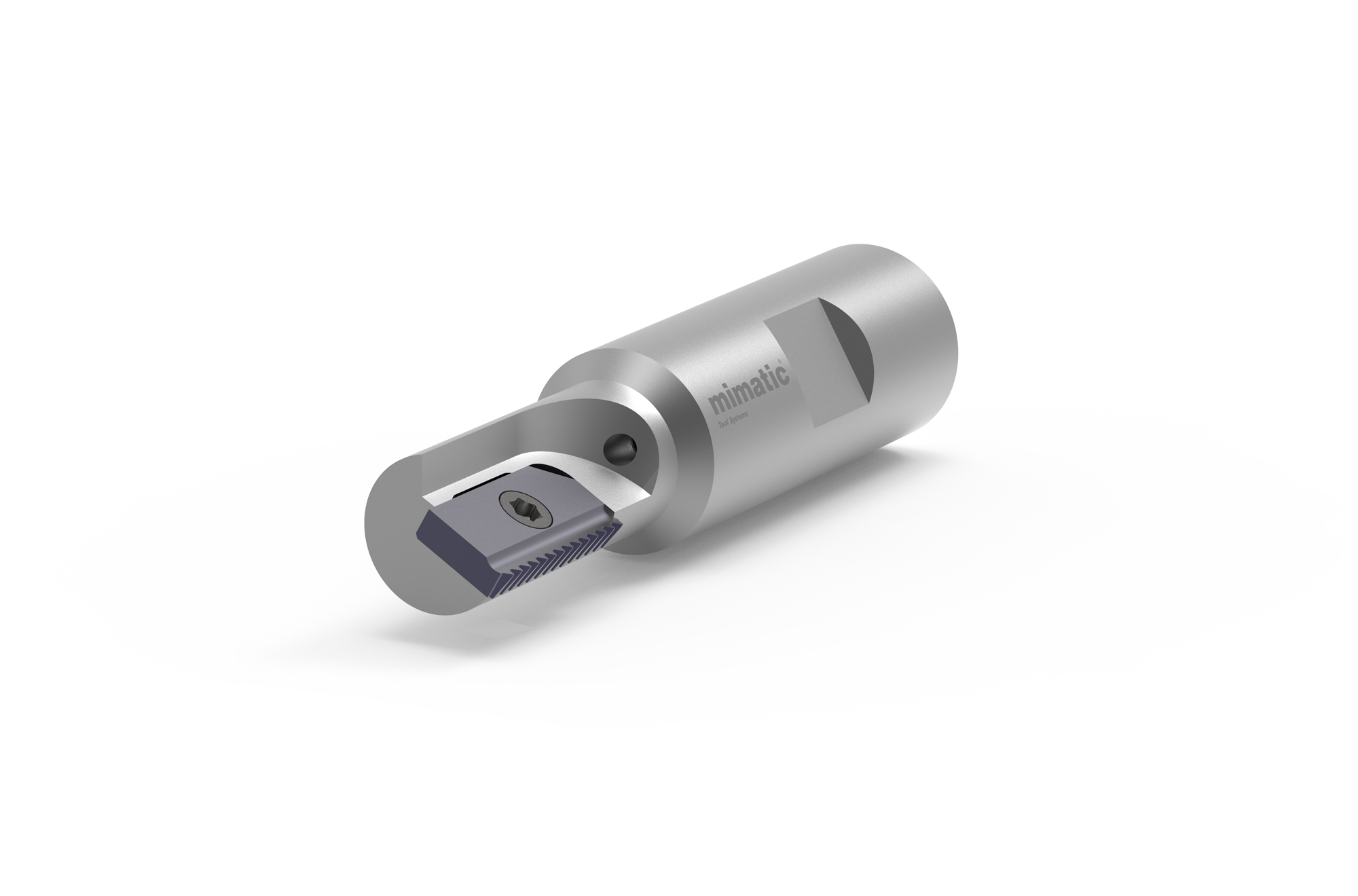 Zirkularfräskörper Typ 21 d h6 20  L1=31,3